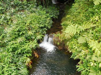 Hawaii_4_21 761