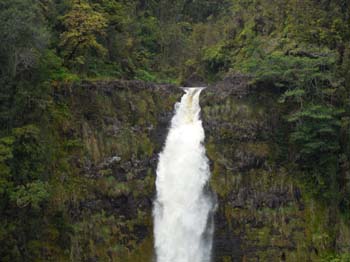 Hawaii_4_21 765