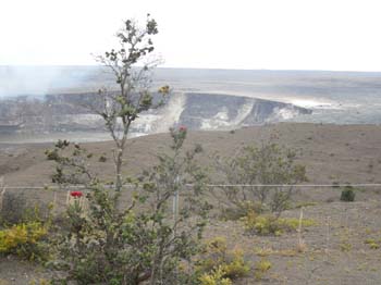 Hawaii_4_21 773