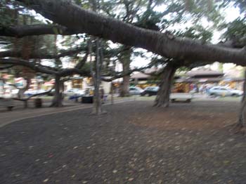 hawaii_4_21 1712 (1)