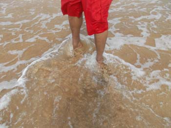 hawaii_4_21 1712 (30)