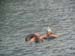 Hawaii_4_21 724