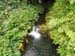Hawaii_4_21 761