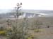 Hawaii_4_21 773