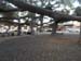 hawaii_4_21 1712 (1)