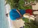 hawaii_4_21 1712 (29)