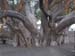hawaii_4_21 1712 (32)