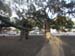 hawaii_4_21 1712 (34)